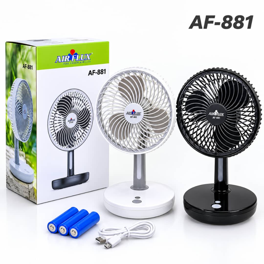 Ventilateur Rechargeable 3 Vitesses